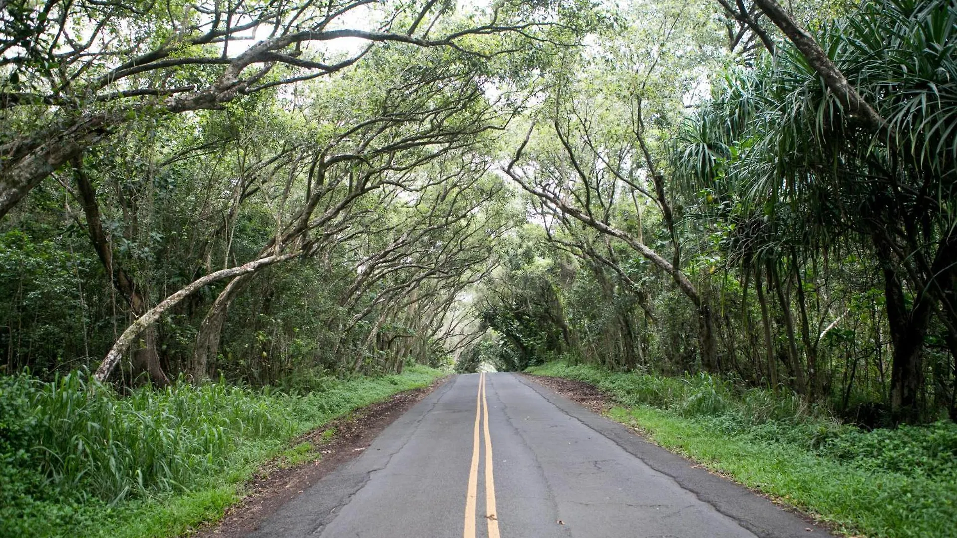 Waikoloa Beach Villas E33 HAWAII BIG ISLAND